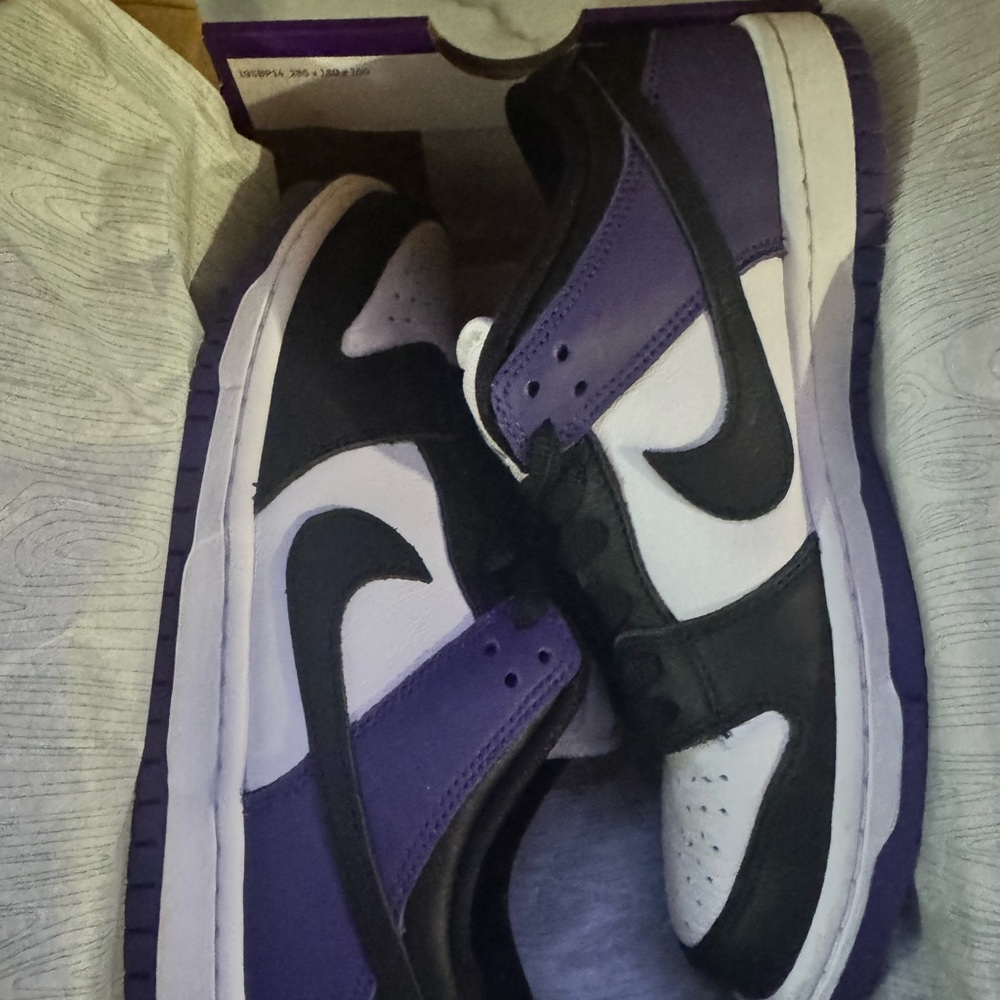 Nike SB Dunk Low Court Purple - BQ6817-500 Men's Shoes